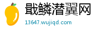 戢鳞潜翼网